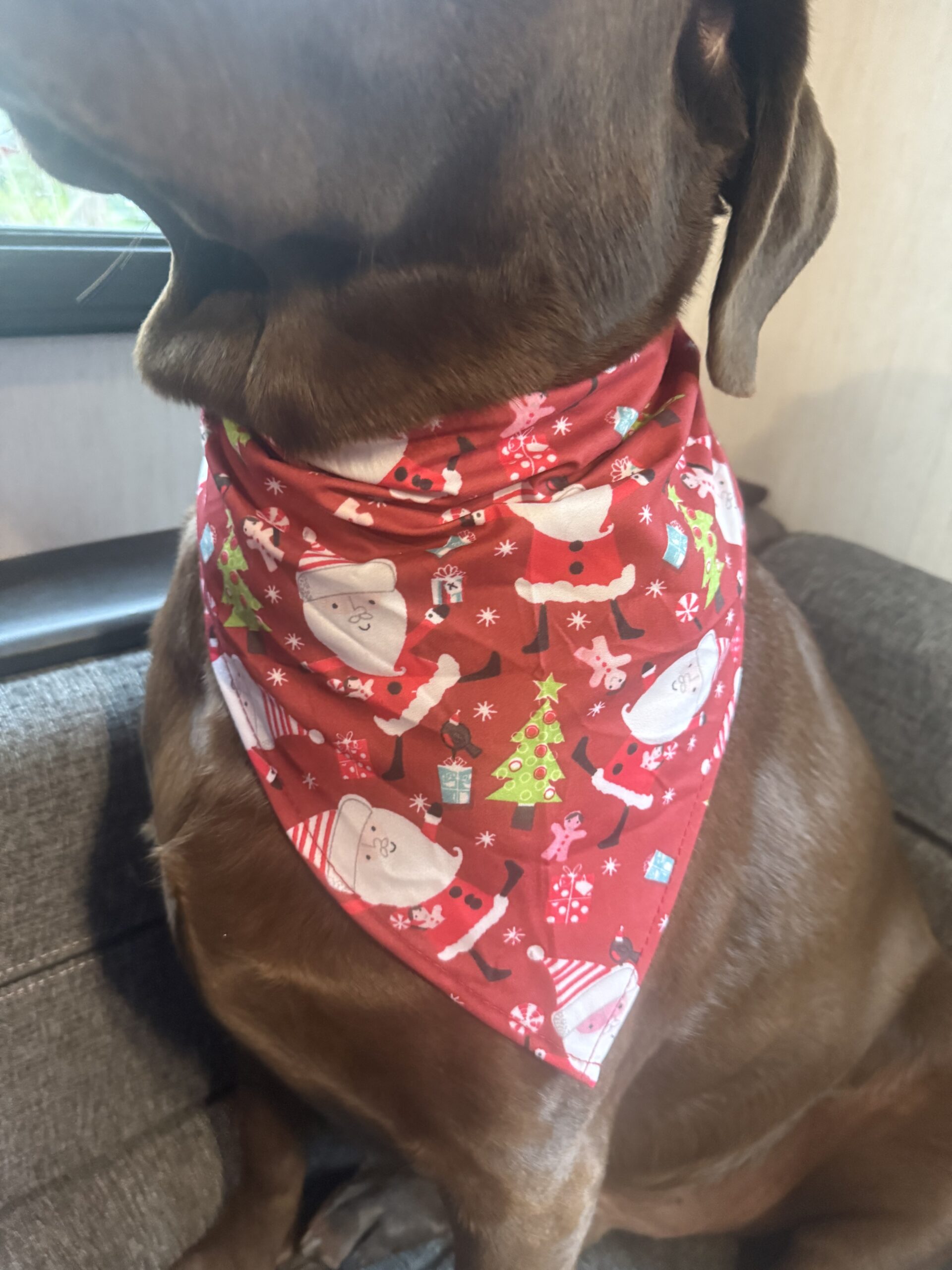 Christmas Dog Bandanas | Festive Holiday Bandanas for Dogs in 5 Fun Designs - Image 2