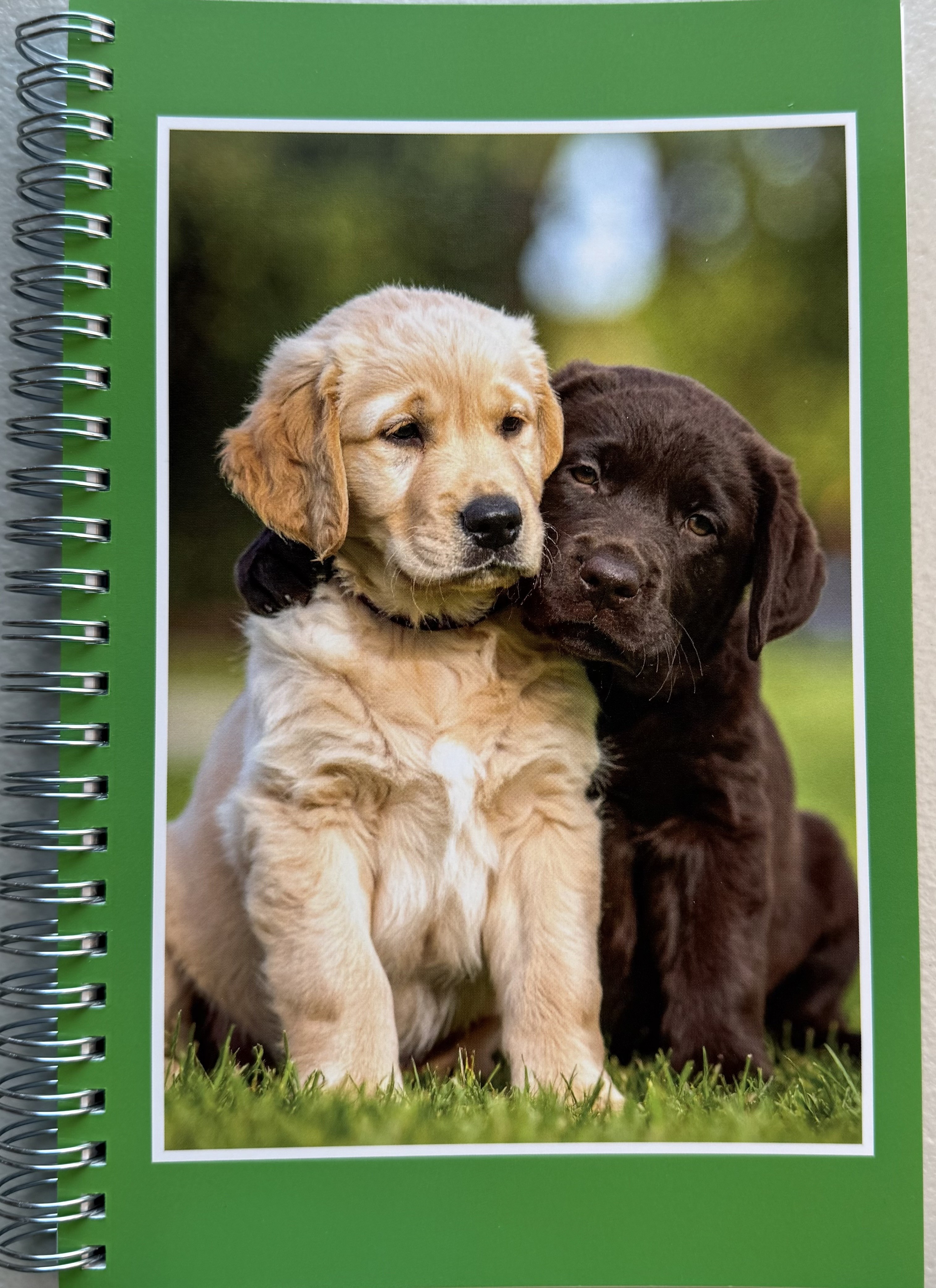 Divi pet shop hero section